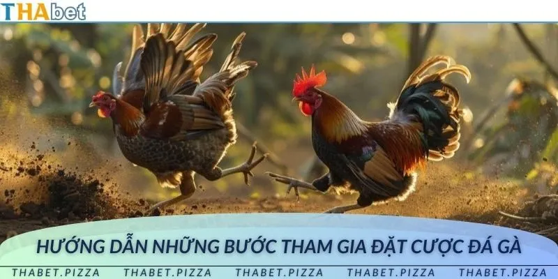 Các bước đăng ký, nạp tiền và tham gia đặt cược đá gà